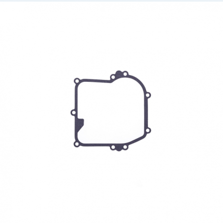 Tesnenie olejovej vane Briggs & Stratton (50-1101AG)