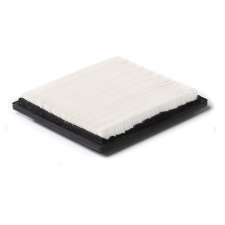 Vzduchový filter TECUMSEH (30-443)